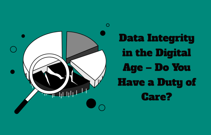Data Interity in the Digital Age